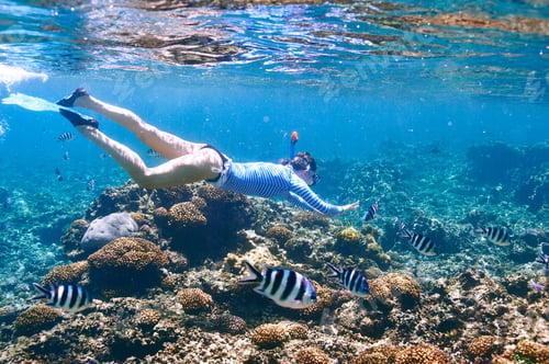 Preview: Woman With Mask Snorkeling In Clear Water