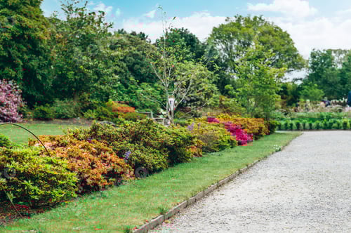 Preview: Beautiful Garden with blooming trees during spring time