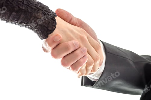 Preview: Man and woman business handshake
