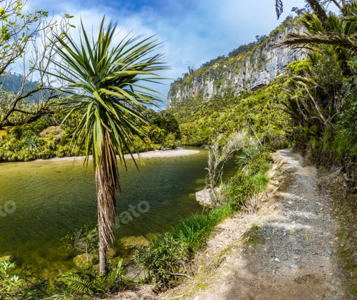 Preview: Porarari river track near Punakaiki, West Coast, South Island, N