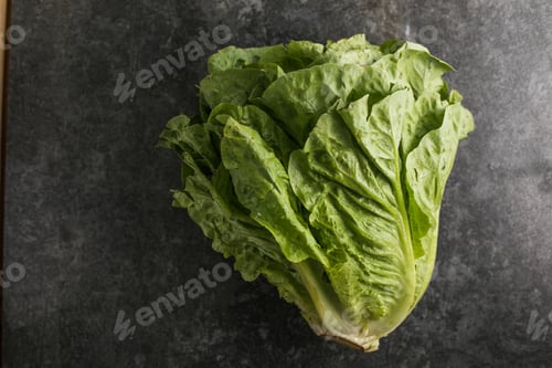 Preview: Healthy food, green leaf lettuce salad top view