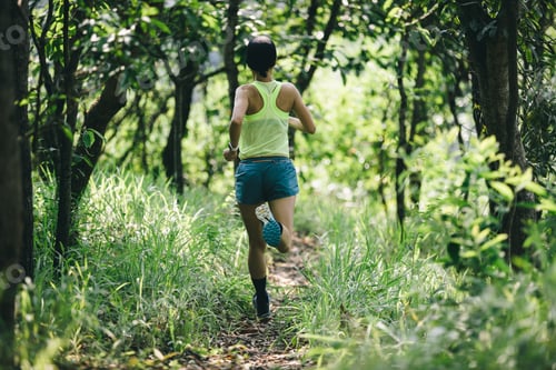 Preview: Fitness woman trail runner running in summer forest trail