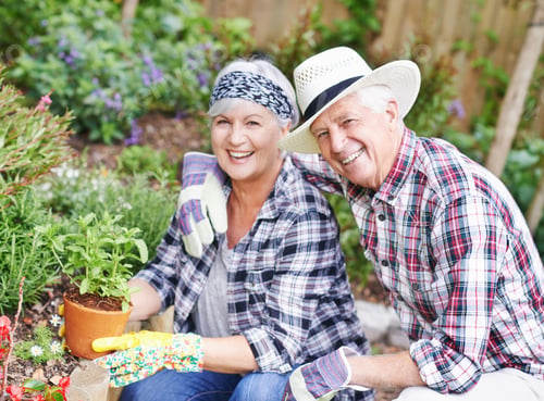 Preview: Sharing a love of gardening. A happy senior couple busy gardening in their back yard.