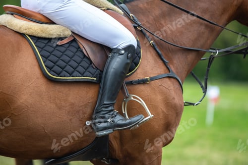 Preview: Horse Jumping, Equestrian Sports, Show Jumping themed photo.