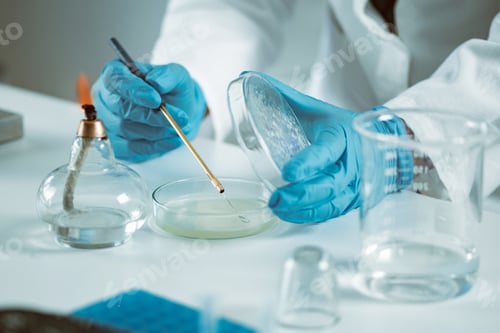 Preview: Microbiology laboratory work