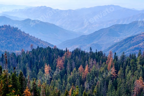 Preview: Sequoia National Park mountain landscape at autumn