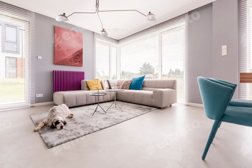 Cozy Modern Living Room with Dog on Rug