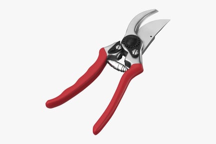 Aperçu: Sécateur robuste - Type 02