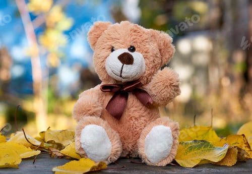 Preview: Little teddy bear sits in the middle of dry yellow leaves in autumn afternoon