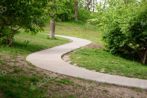 Preview: Winding walking concrete path in a summer park.