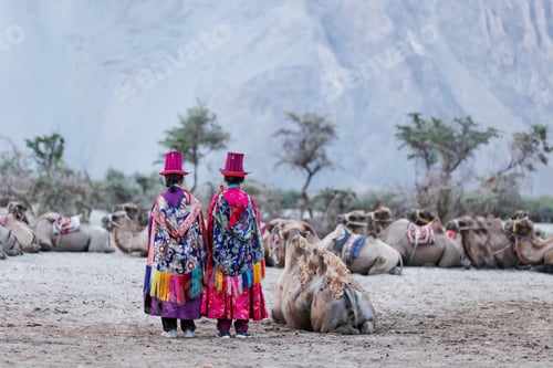Preview: Two women in traditional attire walk toward a group of resting camels in Nubra Valley, Leh.