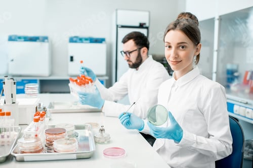Preview: Laboratory assistants in the bacteriological department