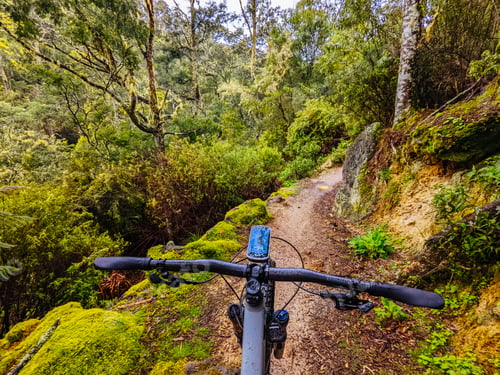 Preview: Blue Derby Bike Network Tasmania Australia