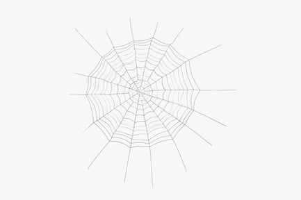 Preview: Orb Weaver Spiderweb: Detailed Arachnid Capture Net