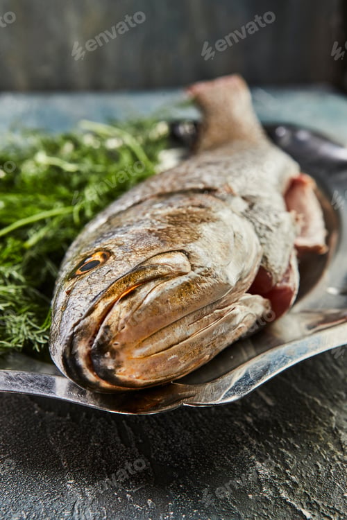 Preview: Fresh sea bass fish with herbs on the board, ready for cooking. French gourmet cuisine