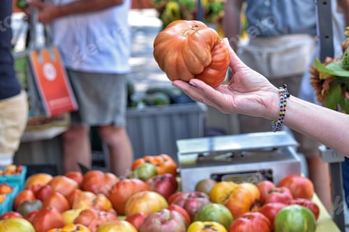 Preview: Organic tomatoes in a Farmers’ Markets: Americans love them