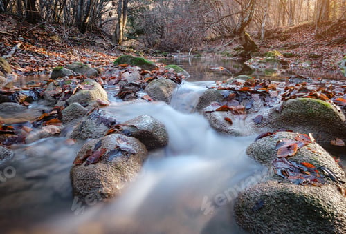 Preview: Creek in autumn forest sunset. Fall season in forest