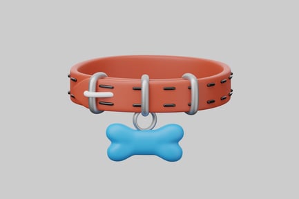 Preview: Dog collar with bone tag