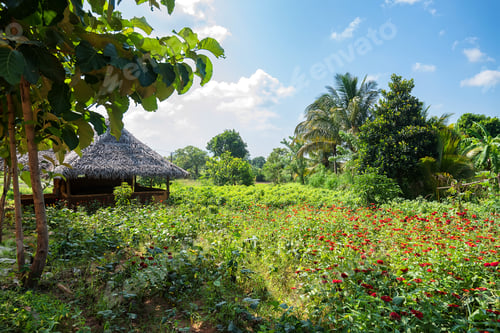 Preview: House in village in Sri Lanka
