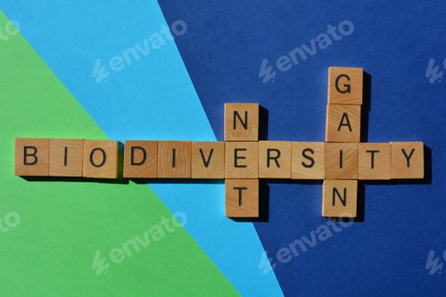 Preview: Biodiversity, Net, Gain, crossword