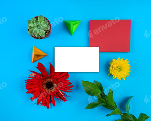 Preview: White paper card note bright flowers composition geometric mockup, blue background