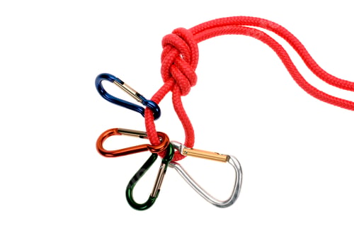 Preview: close-up view of red rope with carabiners isolated on white