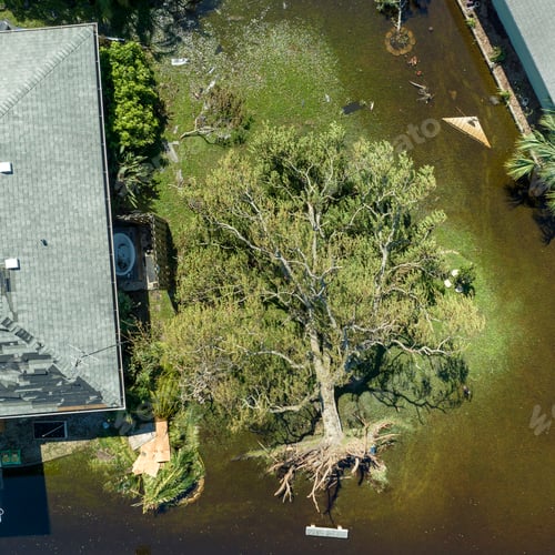Preview: Aftermath of natural disaster. Hurricane Ian flooded house and fallen tree in Florida