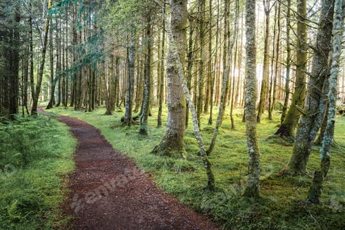 Preview: Canoeing the Caledonian Canal, near Fort William, Scottish Highlands, Scotland, United Kingdom, Euro