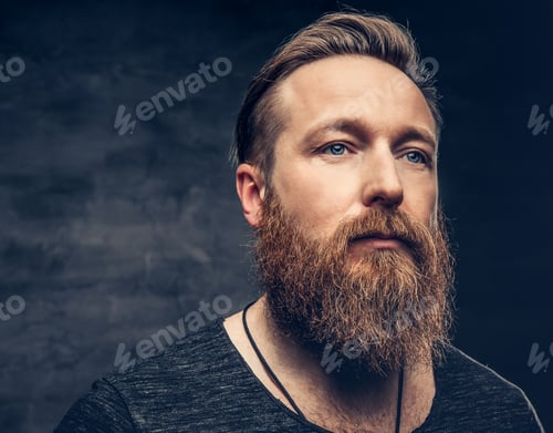Preview: Portrait of redhead bearded male.