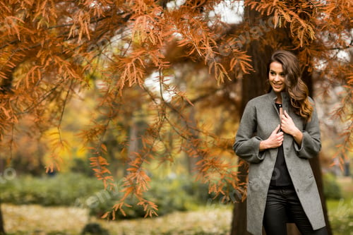 Preview: Pretty young woman in the autumn park