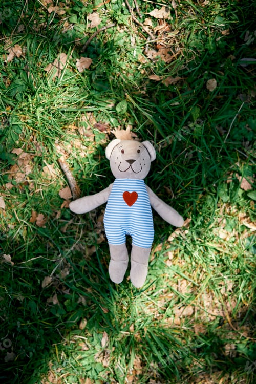 Preview: Little teddy bear lies on the green grass