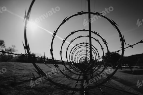 Preview: Grayscale closeup shot of a spiral barbed wire