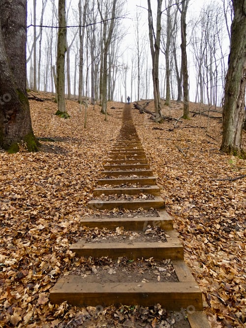 Preview: Stairway to heaven