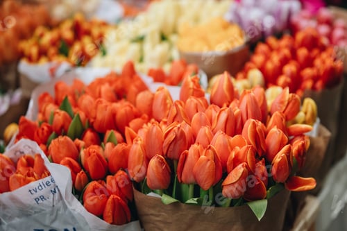 Preview: spring bouquet of flowers tulips