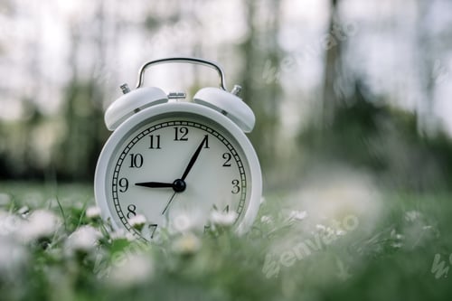 Preview: White alarm clock in grass with daisy flowers