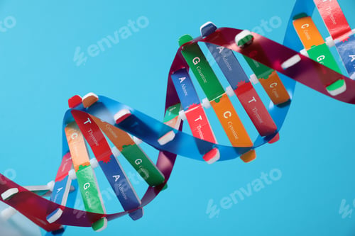 Preview: DNA structure model on light blue background, closeup