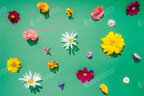 Preview: Flowers composition on green background, copy space.
