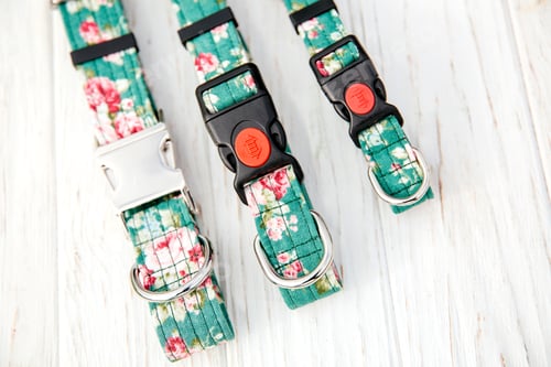 Preview: Dog Collar and Leash set. Pet Supplies and Walking Gear Collection
