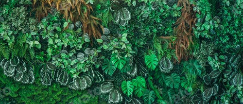 Preview: Close up group of background tropical green leaves texture and abstract background.