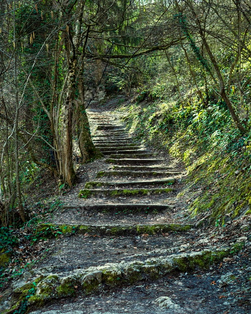 Preview: Old stone stairway in lush green woods.