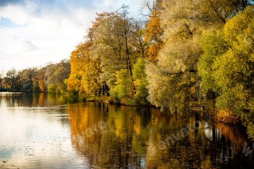 Preview: beautiful autumn park with lake at sunny weather.Scenic Autumn landscape. Composition of nature