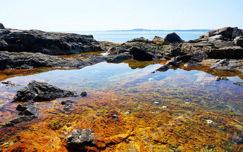 Preview: A Creative Acadia,Usa pictures