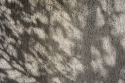 Preview: Sunlit scene featuring a cement surface with beautiful shadows created by the tree leaves