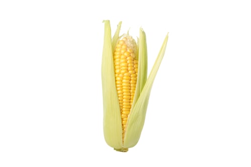 Preview: Fresh raw corn isolated on white background