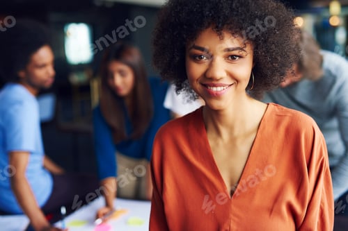 Preview: Portrait of African businesswoman manage the meeting