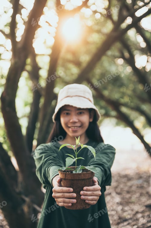 Preview: Agriculture. Growing plants. Plant seedling. Hand nurturing young baby plants