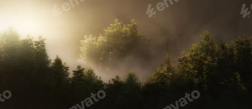 Preview: Green tree forest with fog on a mountain
