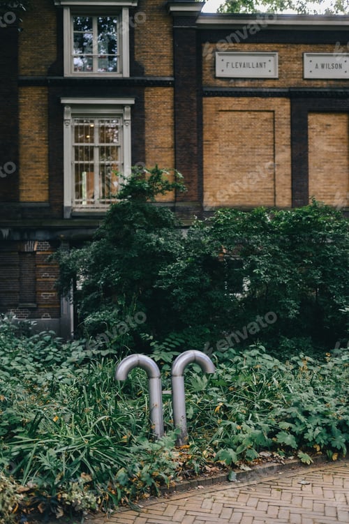 Preview: Urban scene with a historic building and greenery