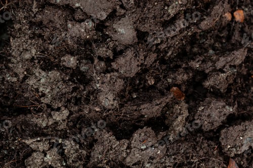 Preview: dark muddy soil background, dirty ground and autumn leaves