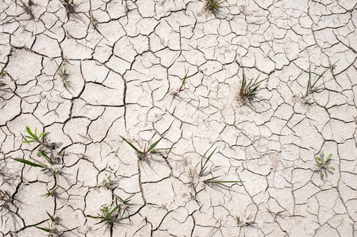 Preview: Germany, Ascholding, dried out soil at Isar floodplains